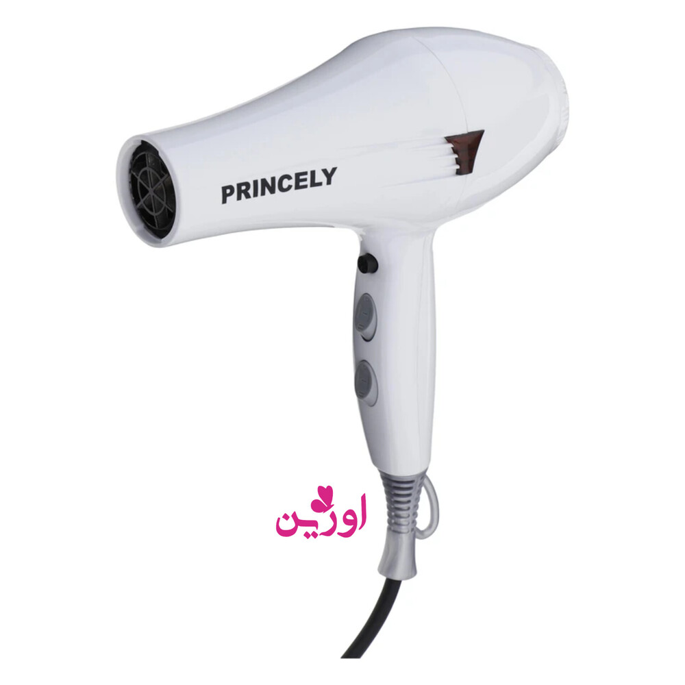 PR249AT سشوار 2400 وات سفید پرنسلی